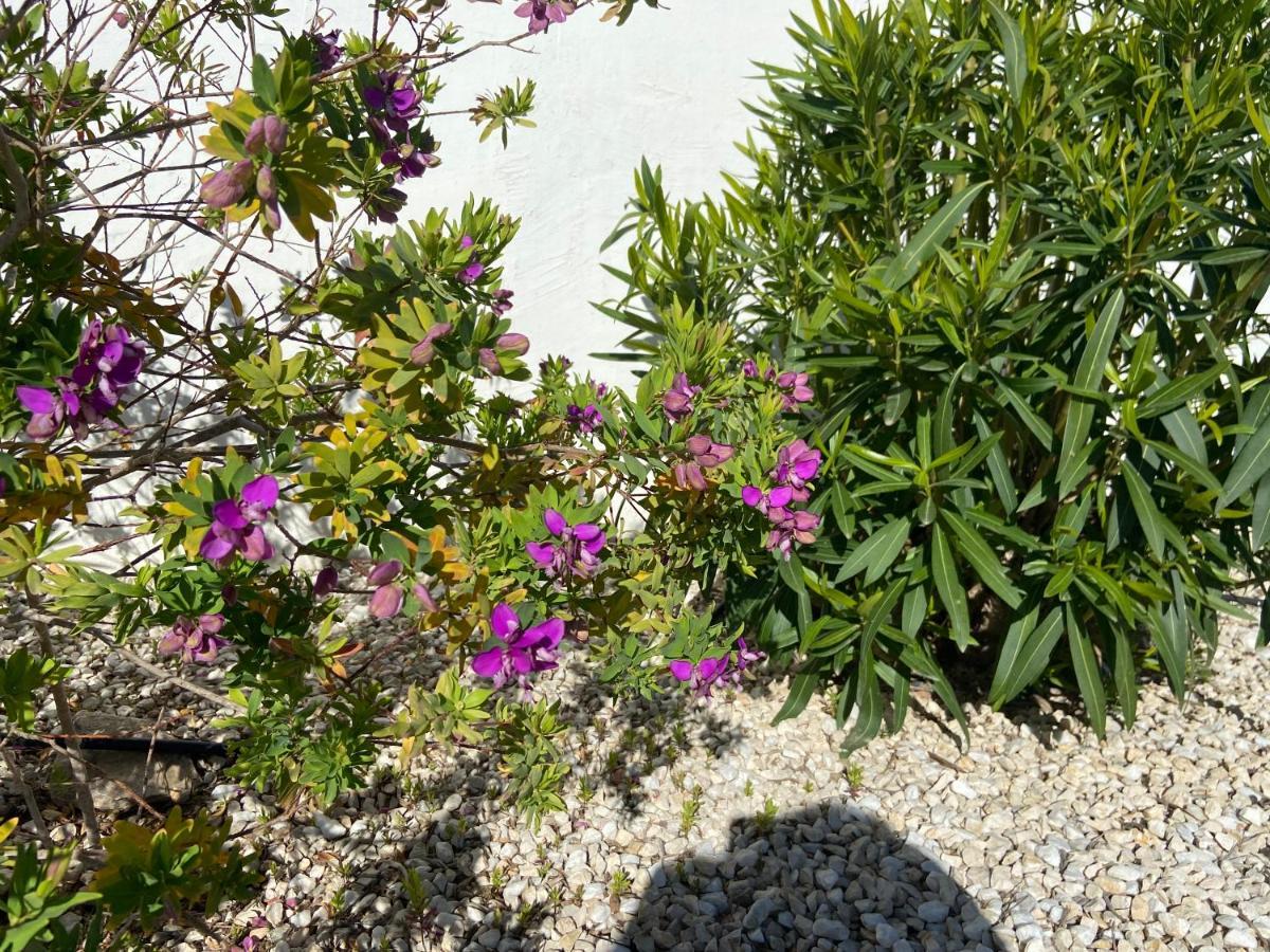 Javea Villa Entiere Piscine Et Cuisine D'Ete A Pinosol Εξωτερικό φωτογραφία